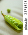 2571626