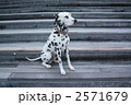 2571679