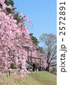 半木の道　春景