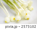 素材ナンバー 2573102 : 「無題」