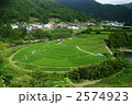 あらぎ島棚田