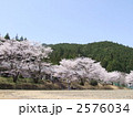 神川町のさくら