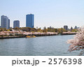 大川の桜と遊覧船