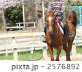 乗馬