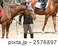 乗馬