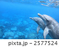 2577524