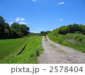 里山の道