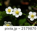 2579870