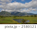 マウイ島のゴルフ場