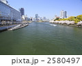 大川桜並木