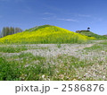 稲荷山古墳（さきたま古墳）