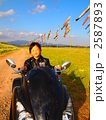 子どもとｂバイクと鯉のぼり