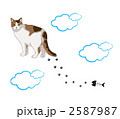 三毛猫