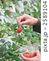 2589104