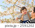 満開の桜と赤ちゃん
