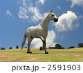 2591903