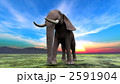 2591904