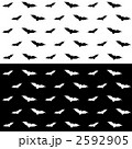 コウモリ（白黒）