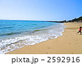 海辺で遊ぶ男の子