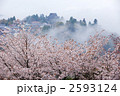 吉野の桜