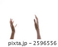 手
