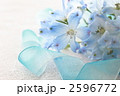 デルフィニューム～プラチナブルー～