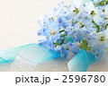 デルフィニューム～プラチナブルー～