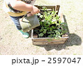 大きくなーれ！