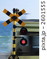 2601555