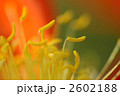 2602188
