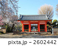 市川市・下総国分寺