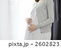 素材ナンバー 2602823 : 「窓辺で編み物をする妊婦」