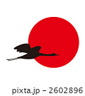 2602896