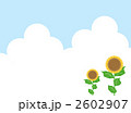 2602907