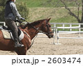 乗馬
