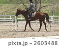 乗馬