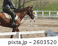 乗馬