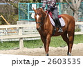 乗馬