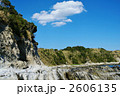 荒崎の海