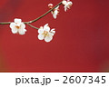 梅フォト RED