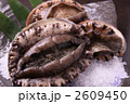 あわび　鮑　アワビ