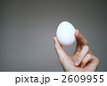 食材・卵イメージ・グレーバック