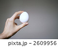 食材・卵イメージ・グレーバック