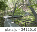 野草園水の谷