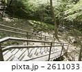 野草園水の谷