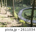 野草園の歩道
