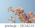 造花の桜