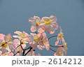 桜の造花