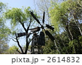 2614832