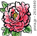 botan11426pix